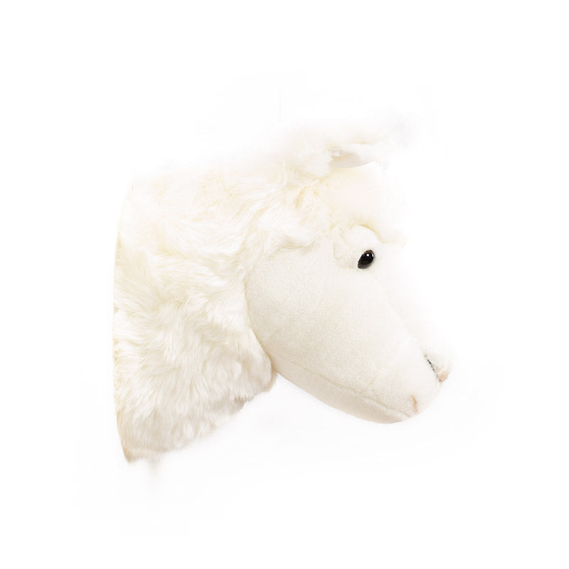 Wild & Soft Lily das Lama Tierkopf