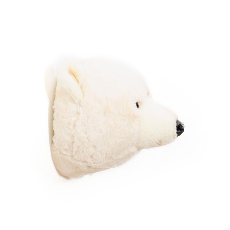 Wild & Soft Basile, la testa di animale dell'orso polare