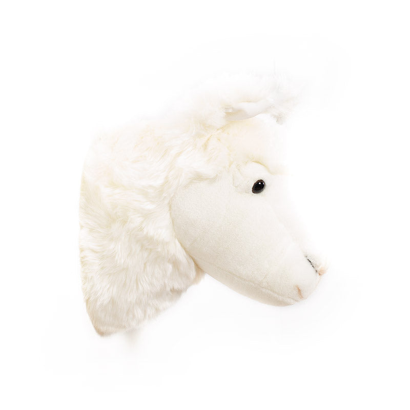 Wild & Soft Lily das Lama Tierkopf