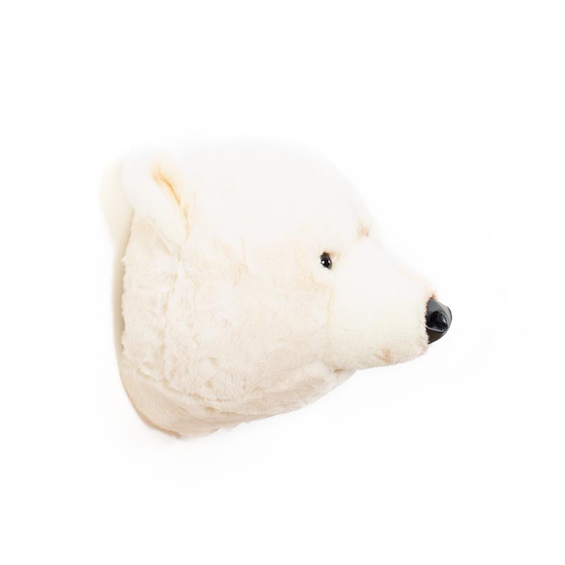 Wild & Soft Basile, la testa di animale dell'orso polare