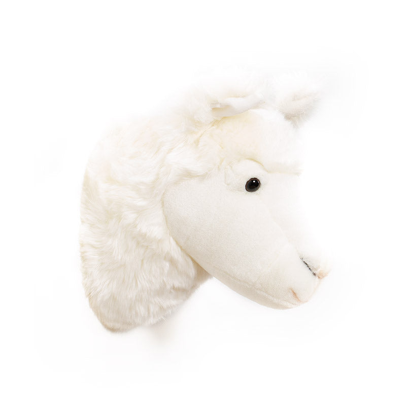 Wild & Soft Lily das Lama Tierkopf
