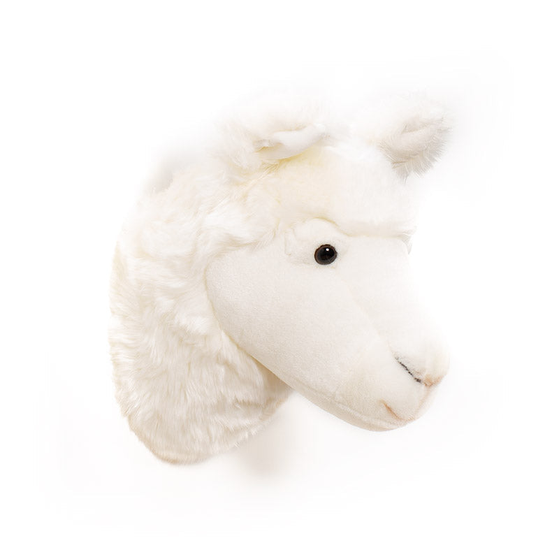 Wild & Soft Lily das Lama Tierkopf