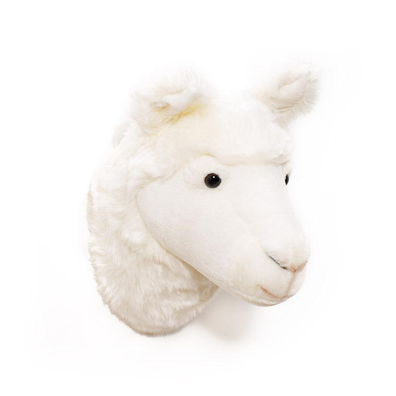 Wild & Soft Lily das Lama Tierkopf
