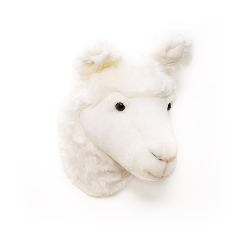 Wild & Soft Lily das Lama Tierkopf