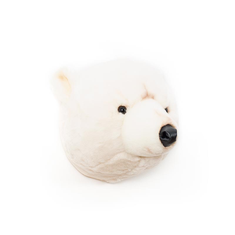 Wild & Soft Basile, la testa di animale dell'orso polare
