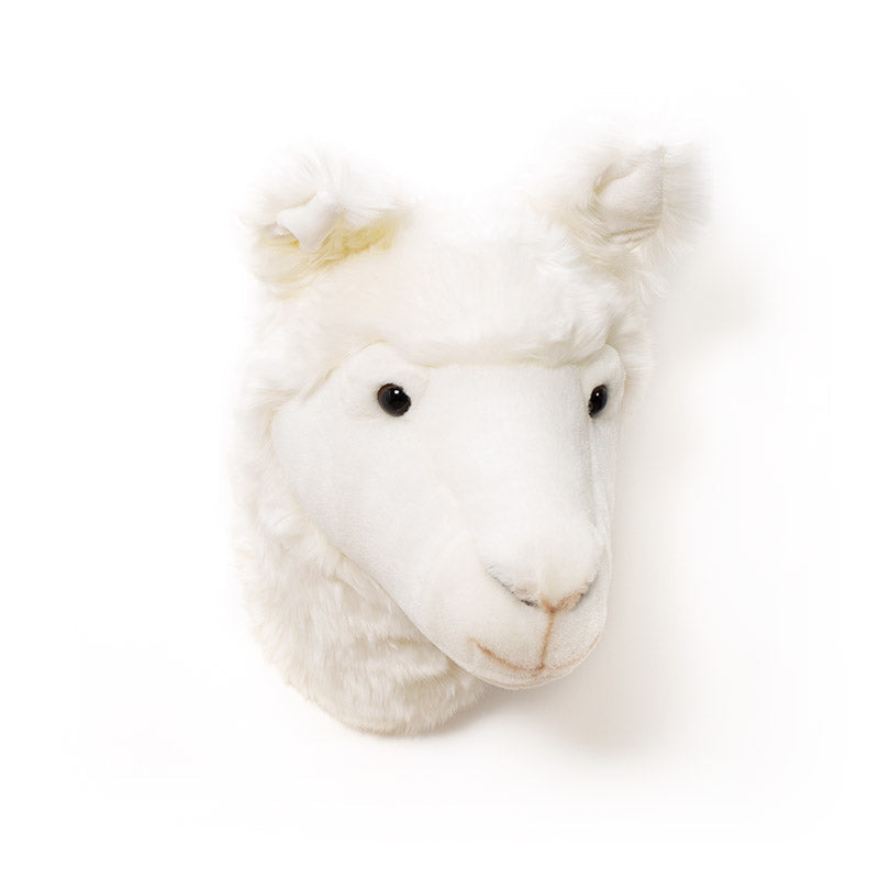 Wild & Soft Lily das Lama Tierkopf