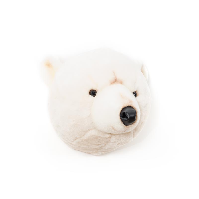 Wild & Soft Basile, la testa di animale dell'orso polare