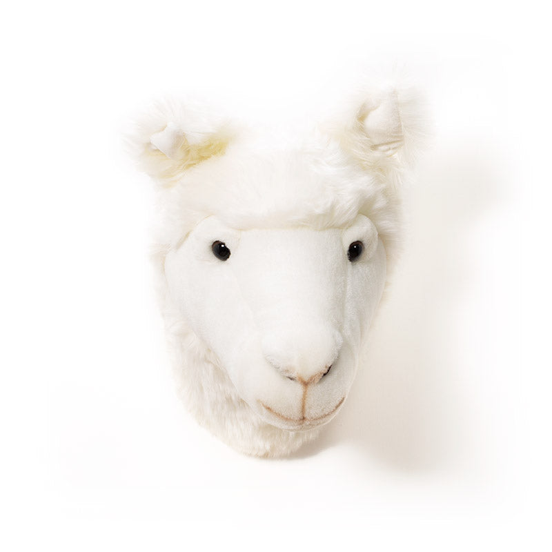 Wild & Soft Lily das Lama Tierkopf