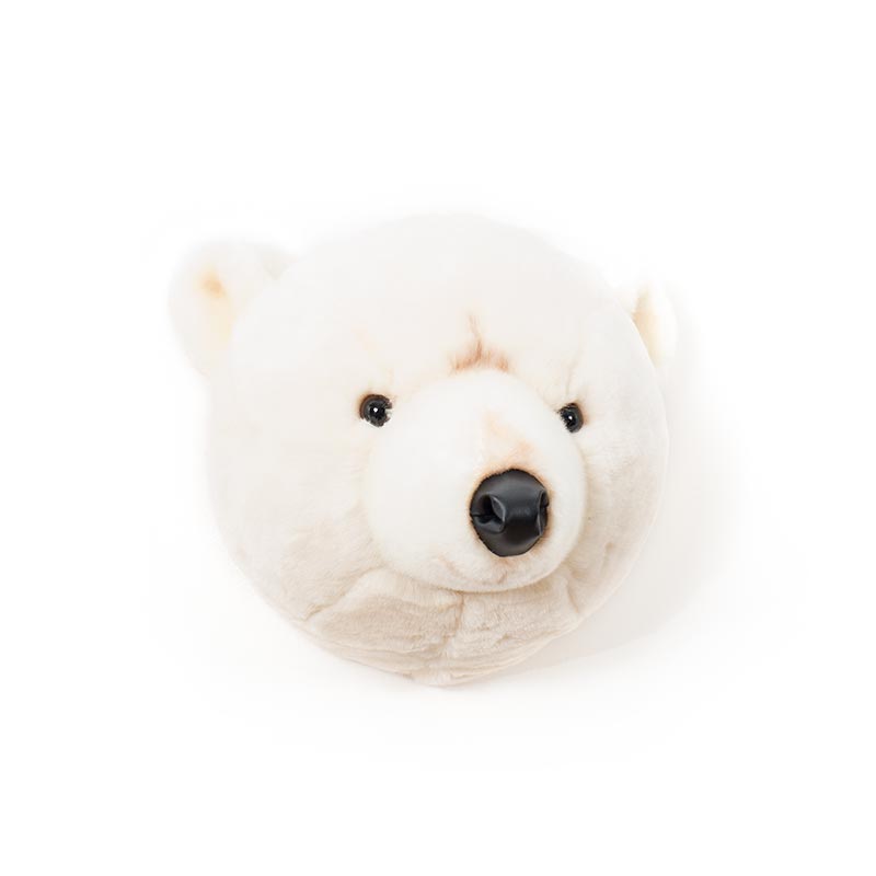 Wild & Soft Basile, la testa di animale dell'orso polare