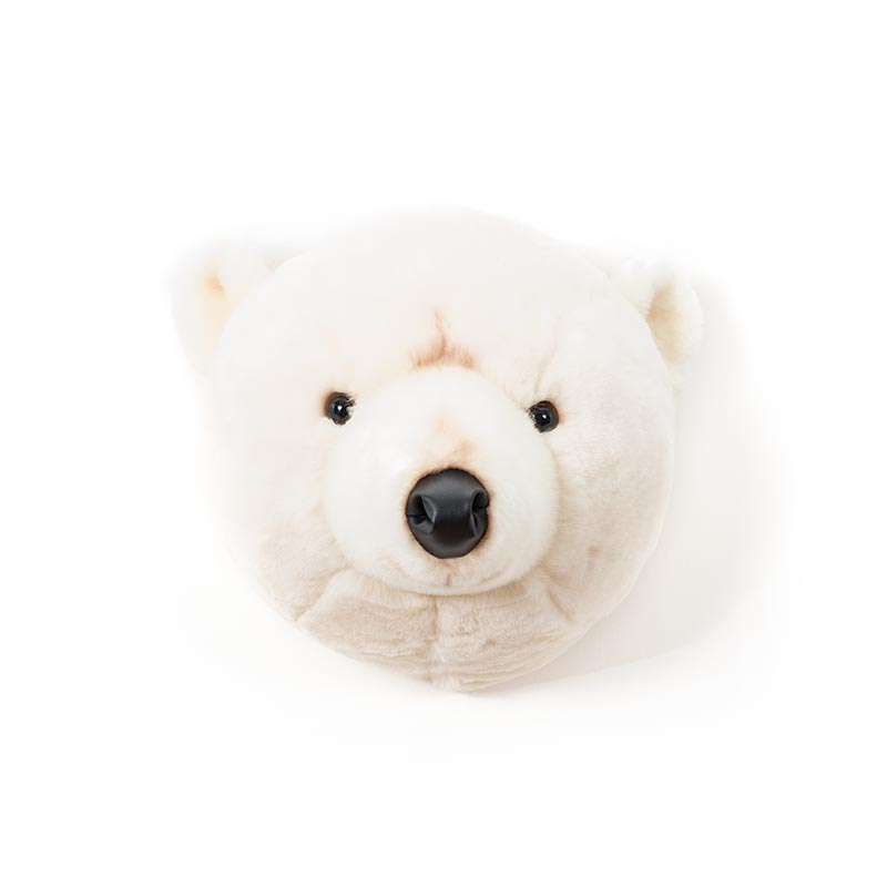Wild & Soft Basile, la testa di animale dell'orso polare
