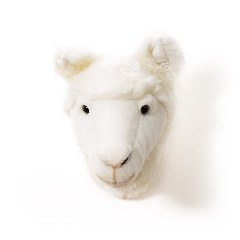 Wild & Soft Lily das Lama Tierkopf