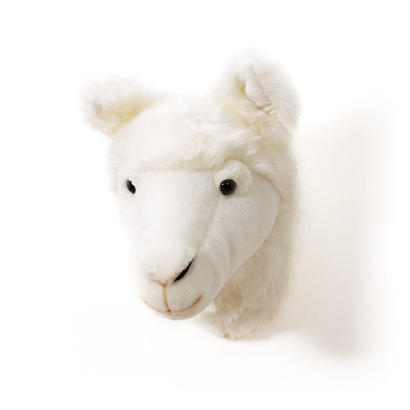 Wild & Soft Lily das Lama Tierkopf