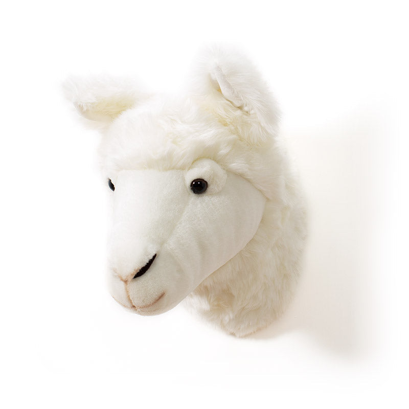 Wild & Soft Lily das Lama Tierkopf