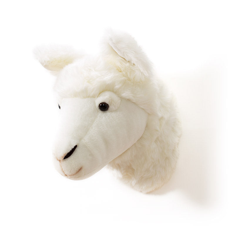 Wild & Soft Lily das Lama Tierkopf