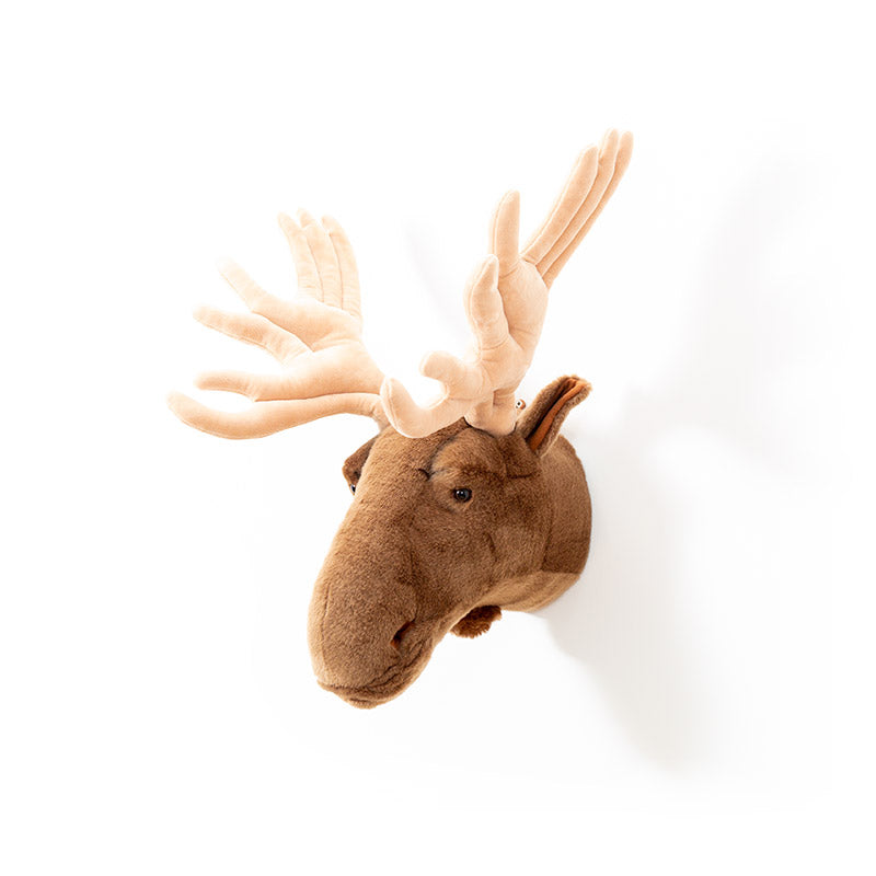 Wild & Soft Alfred der Elch Tierkopf