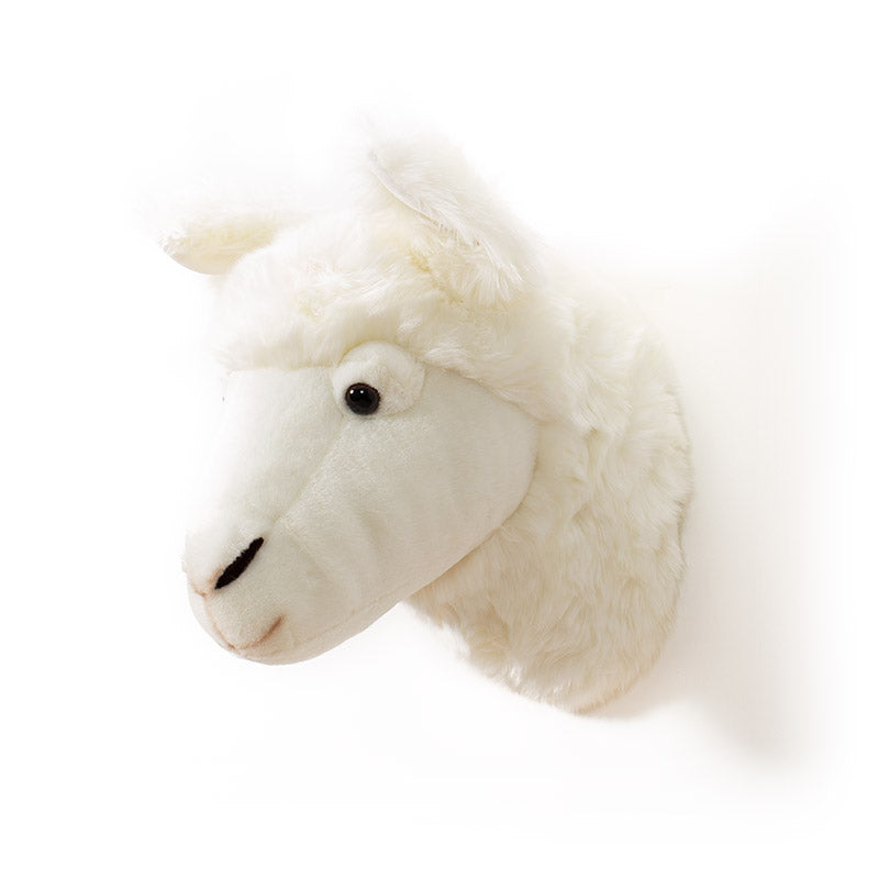 Wild & Soft Lily das Lama Tierkopf