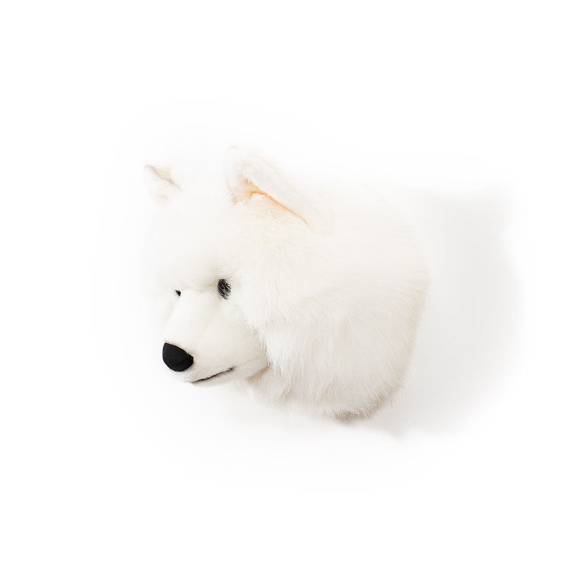 Wild & Soft Lucy der weisse Wolf Medium Tierkopf