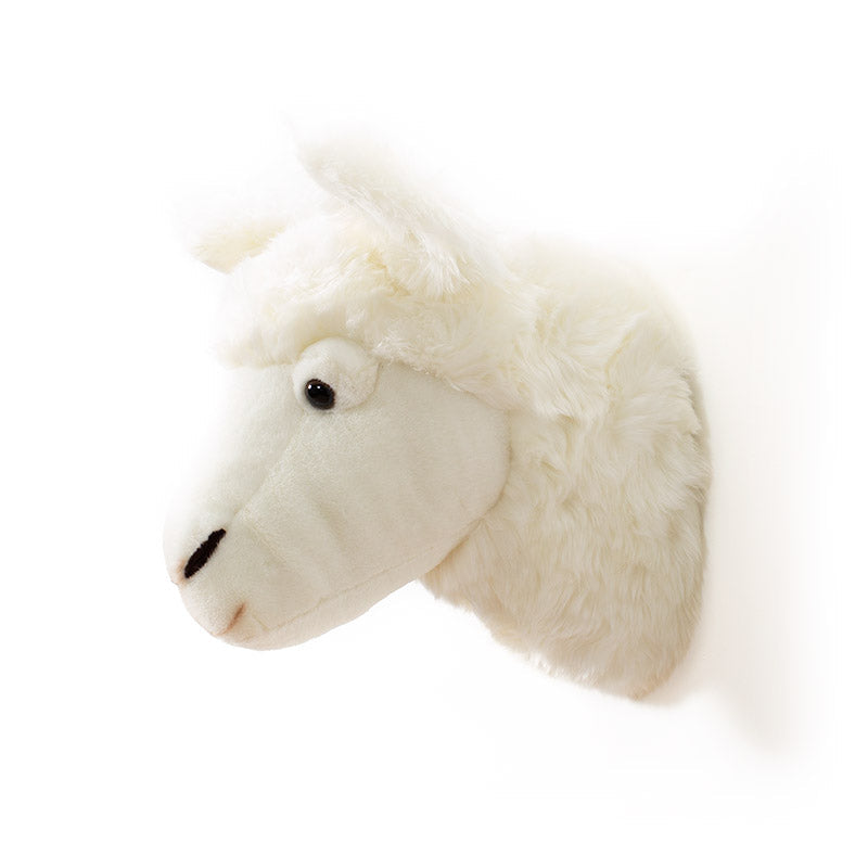 Wild & Soft Lily das Lama Tierkopf