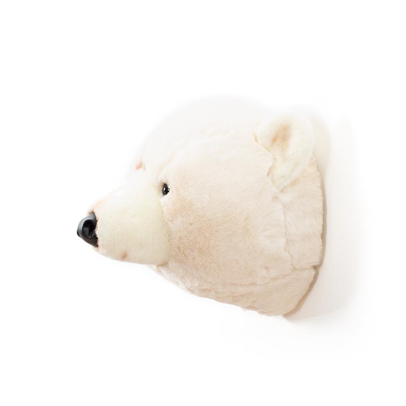Wild & Soft Basile, la testa di animale dell'orso polare
