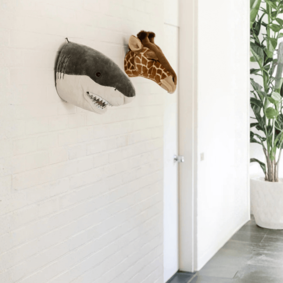 Wild & Soft Jack der Hai Tierkopf
