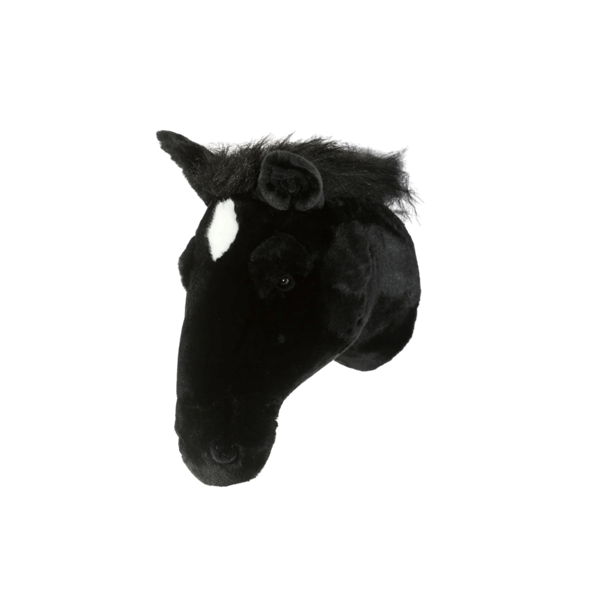 Wild & Soft Peter, il cavallo nero, testa di animale